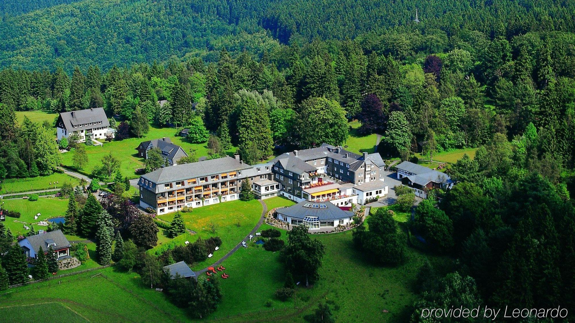 Wiese 4*