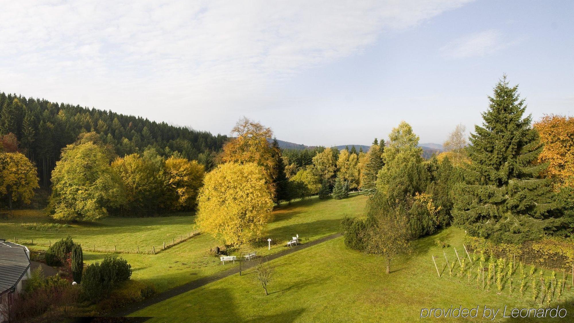 Wiese Hotel 4*
