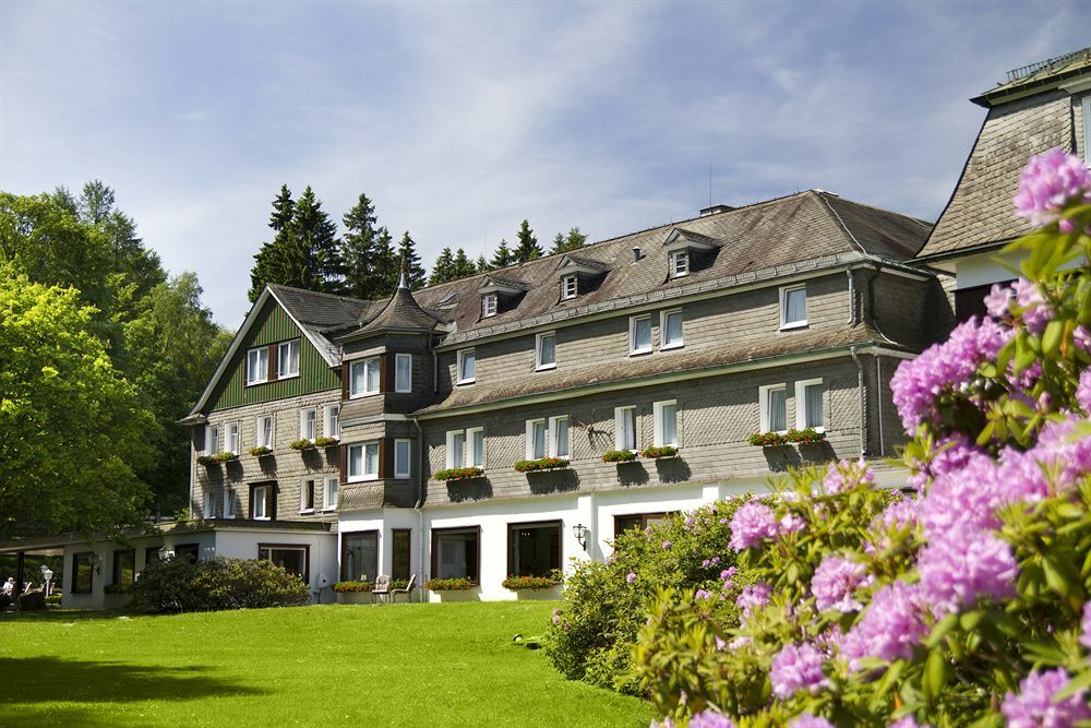 Wiese Hotel 4*